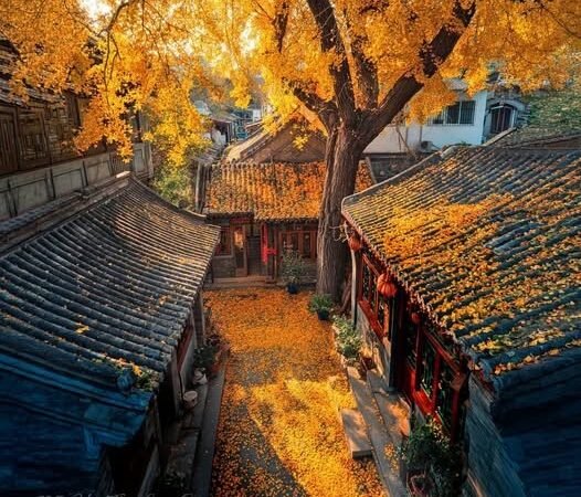 GIỮA THÁNG CHÍN- tác giả Hồng Giang