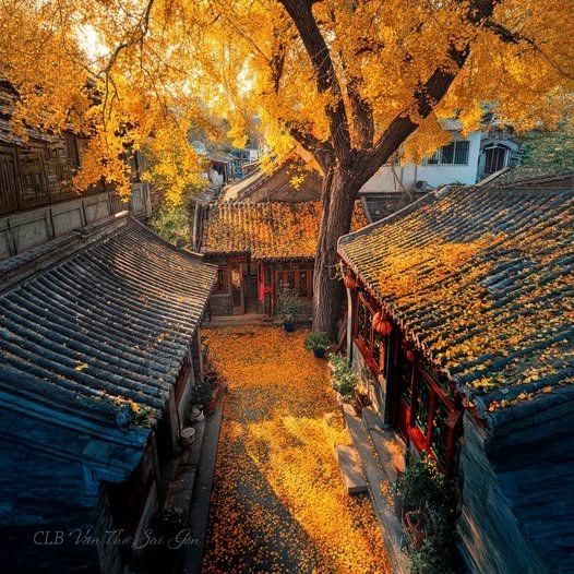 GIỮA THÁNG CHÍN- tác giả Hồng Giang